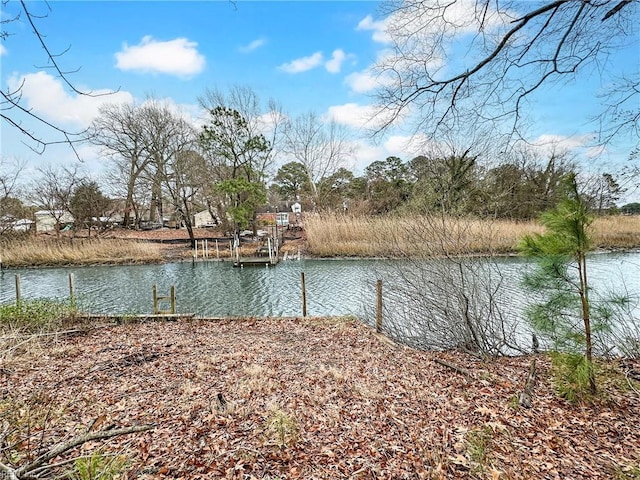 water view featuring a boat dock