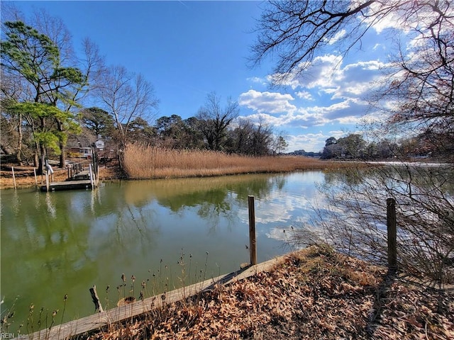 dock area with a water view