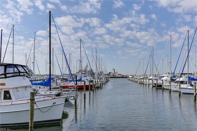 dock area with a water view