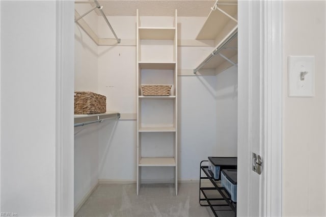 spacious closet featuring light colored carpet