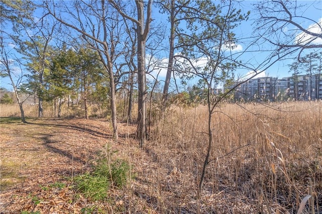 view of local wilderness