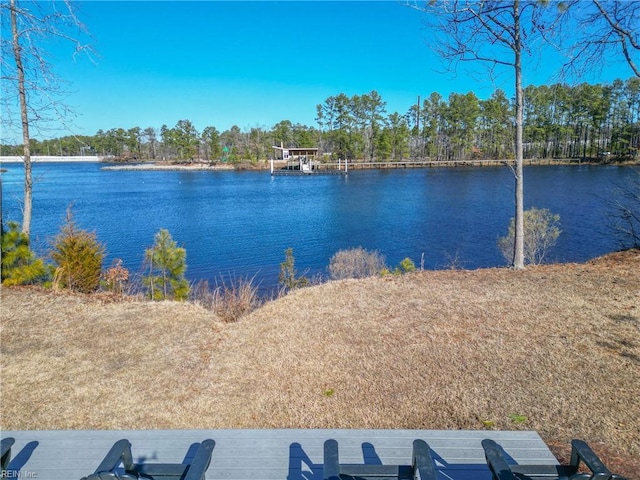 view of water feature