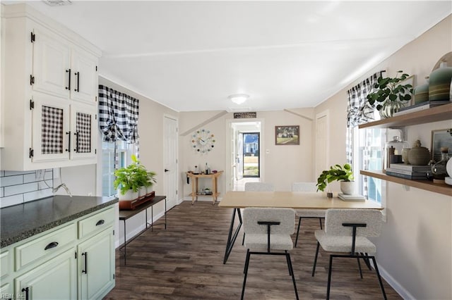 dining room featuring dark wood-type flooring and a wealth of natural light