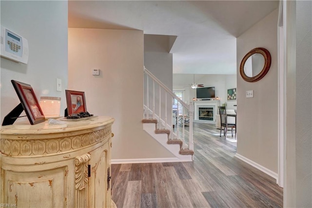 interior space featuring hardwood / wood-style floors and ceiling fan