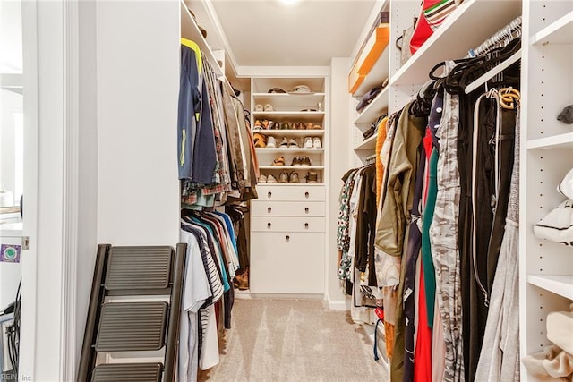 walk in closet with light carpet