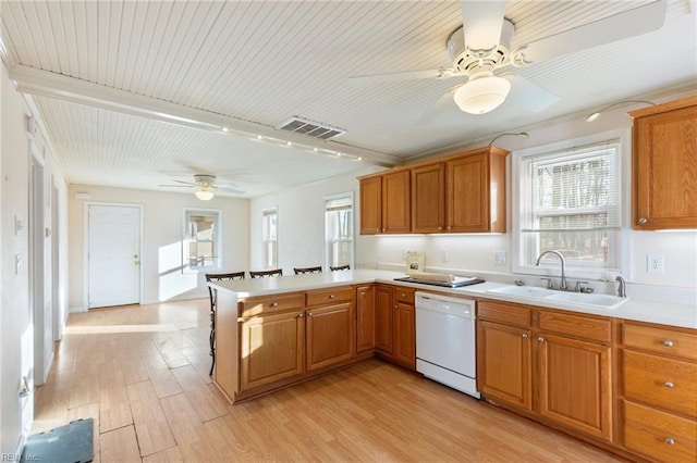 kitchen featuring sink, light hardwood / wood-style flooring, dishwasher, a healthy amount of sunlight, and kitchen peninsula