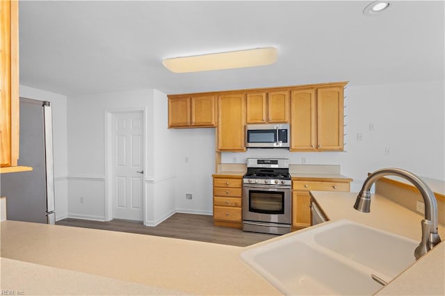 kitchen featuring stainless steel appliances, sink, and dark wood-type flooring