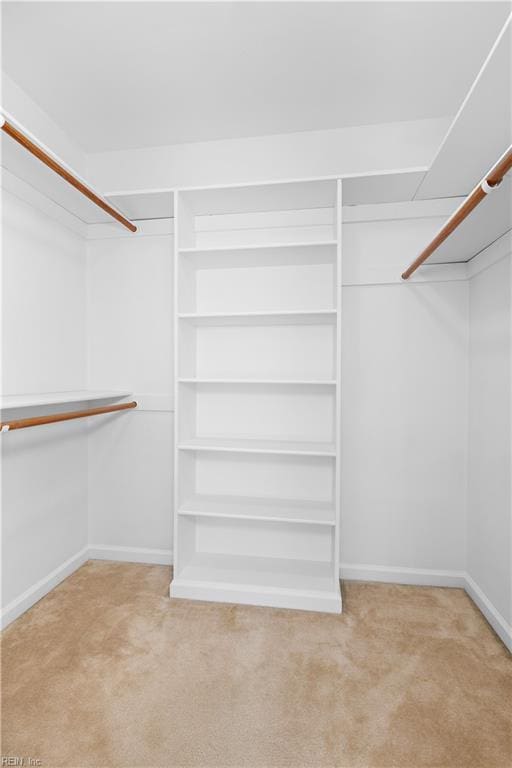 spacious closet with light carpet