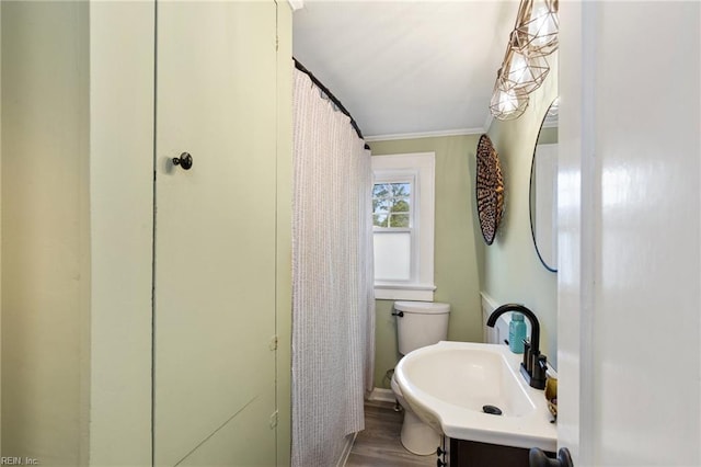 bathroom with crown molding, vanity, toilet, and wood-type flooring