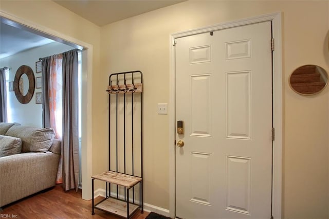 foyer entrance featuring dark wood-type flooring