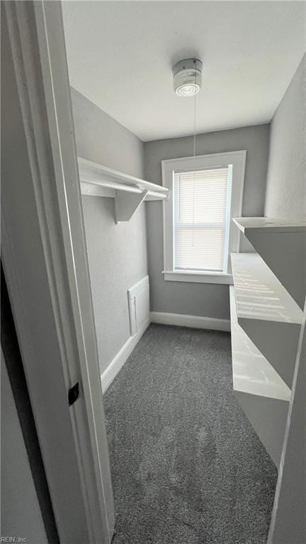 walk in closet featuring dark carpet