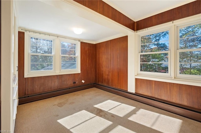 empty room featuring plenty of natural light, light carpet, and wooden walls