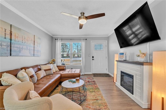 living room with ceiling fan, crown molding, light hardwood / wood-style flooring, and a textured ceiling