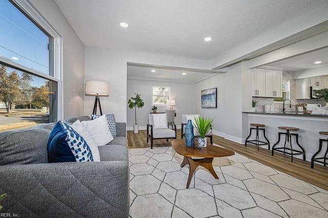 living room with sink and light hardwood / wood-style floors