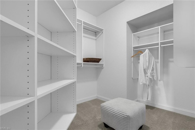 spacious closet featuring light carpet