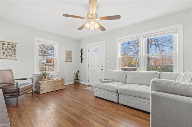 living room featuring hardwood / wood-style flooring and ceiling fan