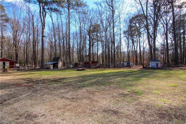 view of yard featuring a storage unit