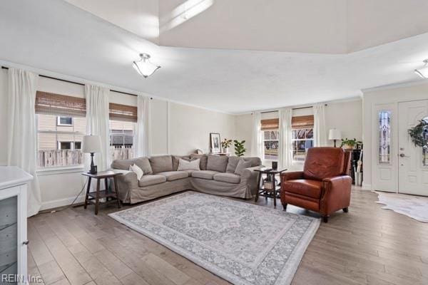 living room featuring hardwood / wood-style floors