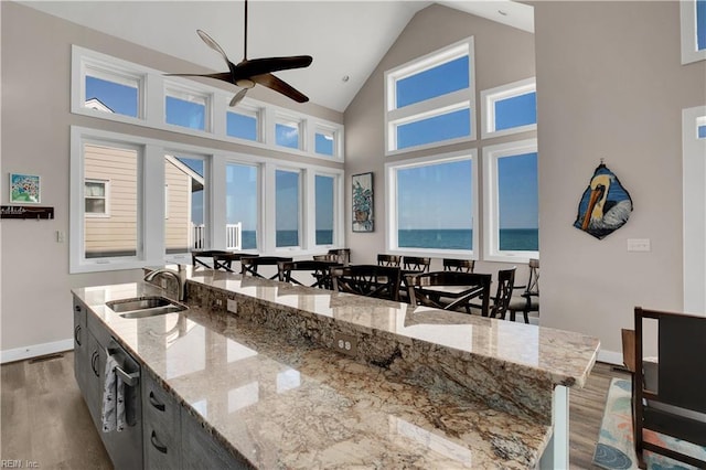 kitchen featuring hardwood / wood-style floors, light stone countertops, sink, and a kitchen island