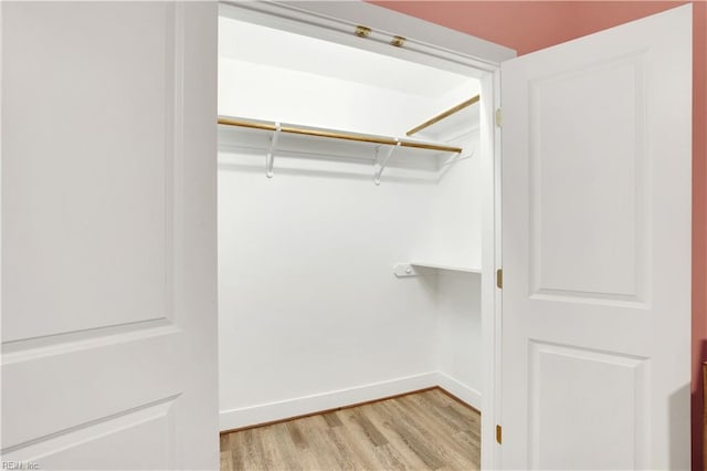 spacious closet with light wood-type flooring