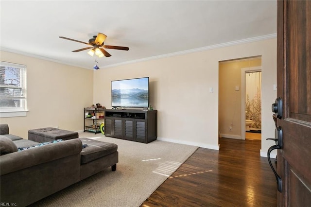 living room featuring dark hardwood / wood-style flooring, crown molding, and ceiling fan