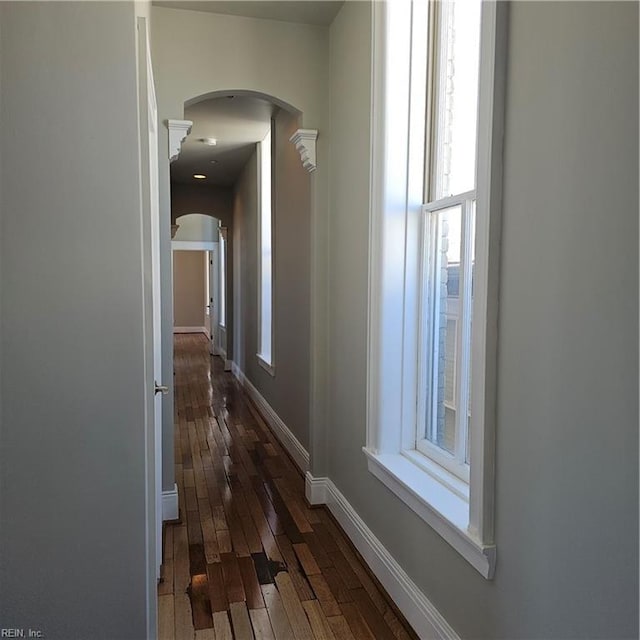 corridor featuring dark wood-type flooring and a wealth of natural light