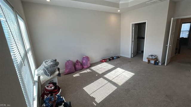 unfurnished bedroom featuring a spacious closet, carpet, and multiple windows