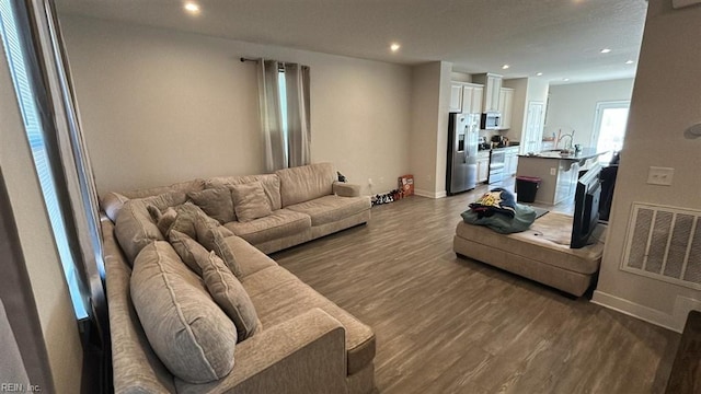 living room featuring dark hardwood / wood-style floors and sink