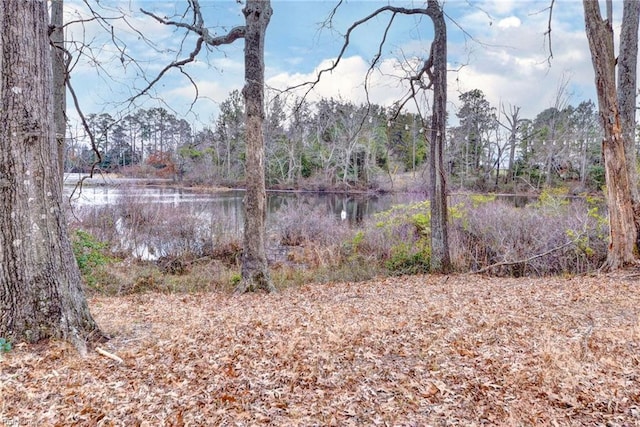 view of yard with a water view