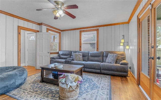 living room featuring crown molding, ceiling fan, and light wood-type flooring