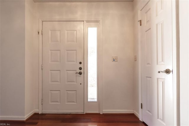 foyer entrance featuring dark wood-type flooring