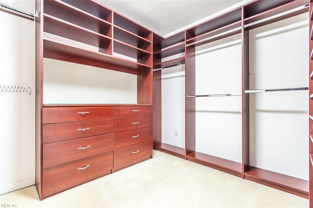 walk in closet featuring light colored carpet