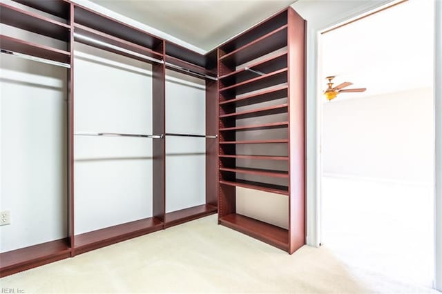 walk in closet with light colored carpet and ceiling fan