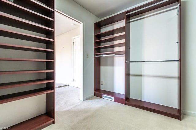 spacious closet with light colored carpet