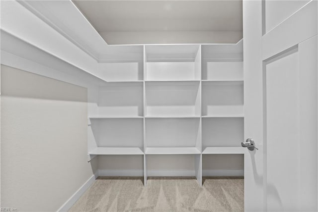 spacious closet featuring carpet floors