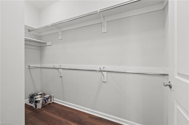 spacious closet featuring dark wood-type flooring