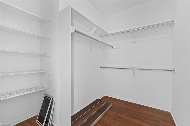 walk in closet with dark wood-type flooring