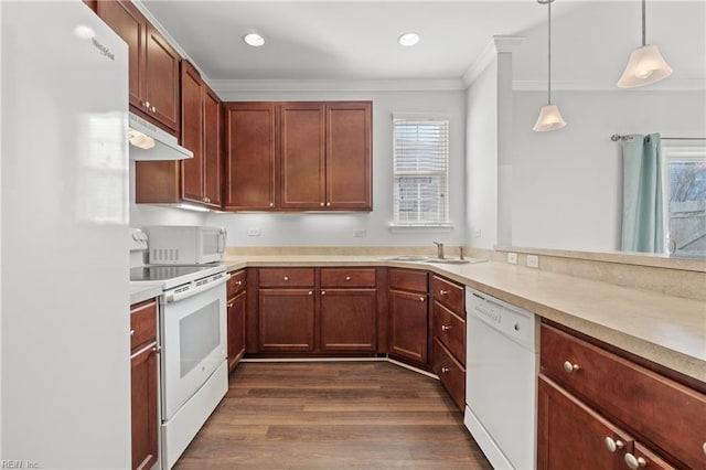 kitchen with sink, crown molding, white appliances, hanging light fixtures, and dark hardwood / wood-style floors