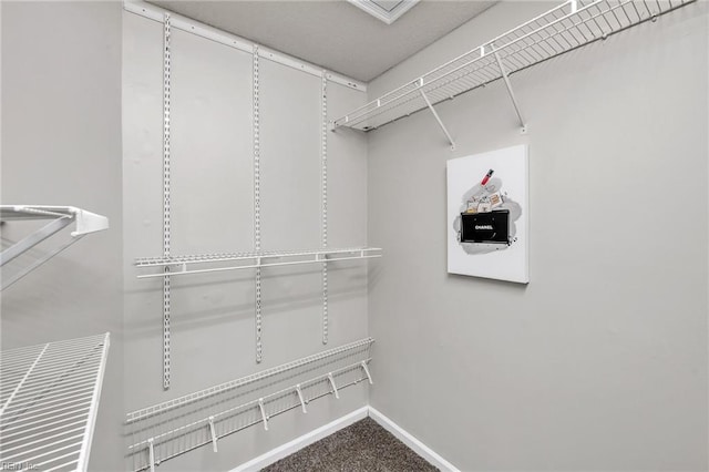 walk in closet featuring carpet