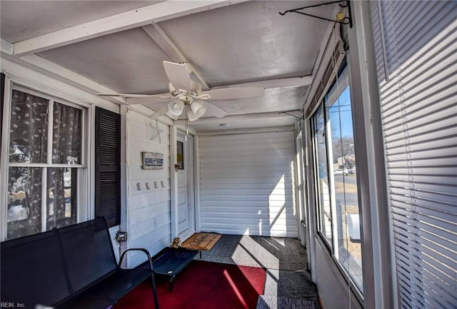 sunroom / solarium with ceiling fan