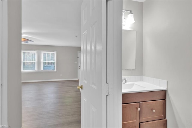 bathroom with vanity and wood-type flooring