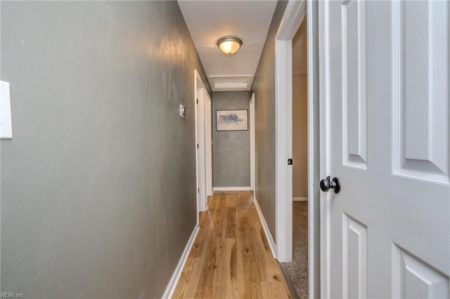 hall featuring light hardwood / wood-style flooring