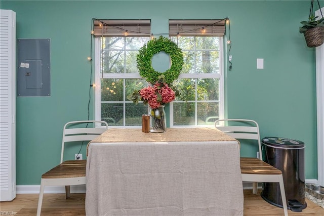 dining space featuring plenty of natural light, hardwood / wood-style floors, and electric panel