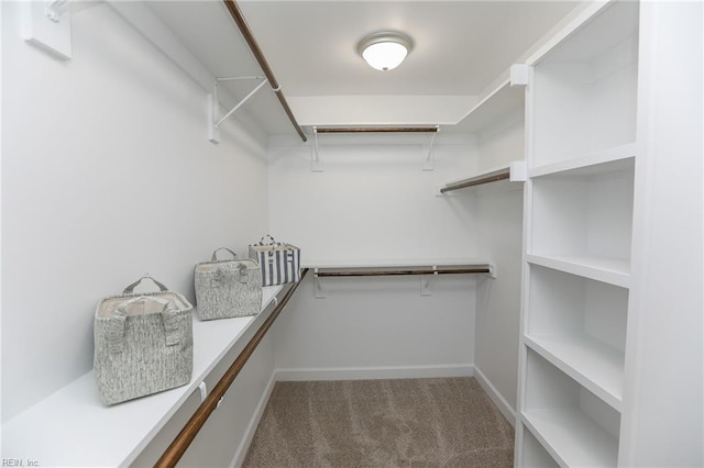 walk in closet with carpet flooring