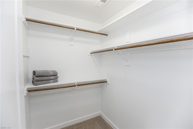 spacious closet with carpet floors