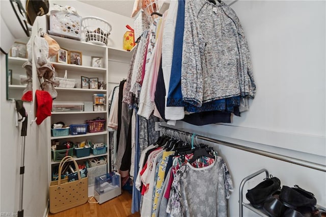 spacious closet featuring light wood-type flooring