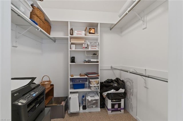 view of walk in closet