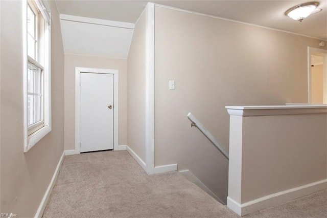 stairs with carpet floors and plenty of natural light