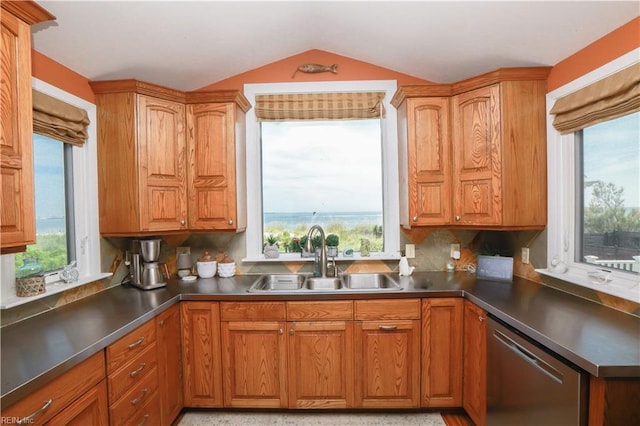 kitchen featuring dishwasher, vaulted ceiling, and sink