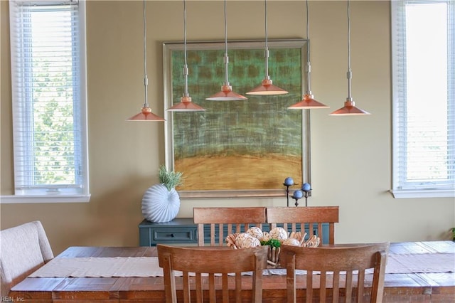 dining space with a healthy amount of sunlight